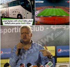 نداء الى رئيس الجمهورية .. انقذوا الرياضة المصرية من المختل
